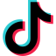 TikTok Ads